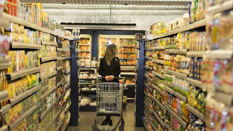 Mişustin: Gıda fiyatları ve durumu bizzat izleyeceğim