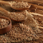 Rusya’nın 2025 hasat rakamları şaşırttı!