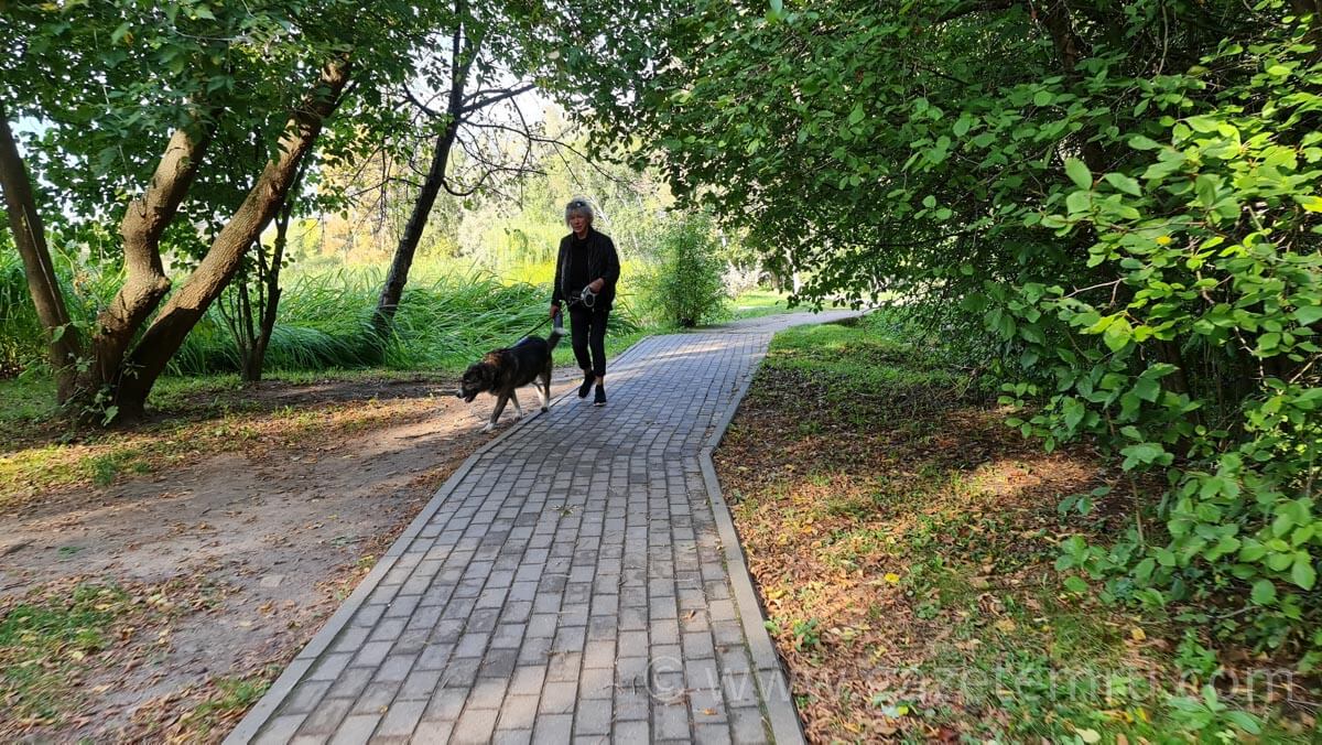 Moskova’da köpek gezdirme kurallarını ihlal edenlere yeni para cezaları getirildi