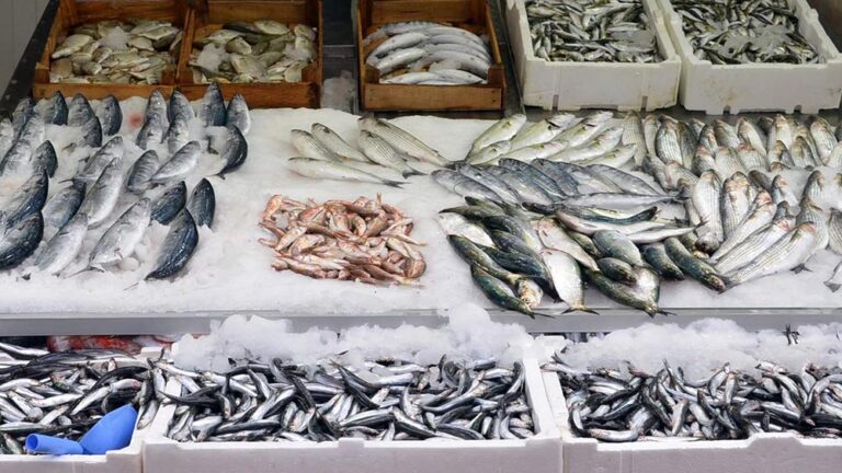 Rusya’dan, Mısır’a balık ve deniz ürünleri ihracatı yapılacak