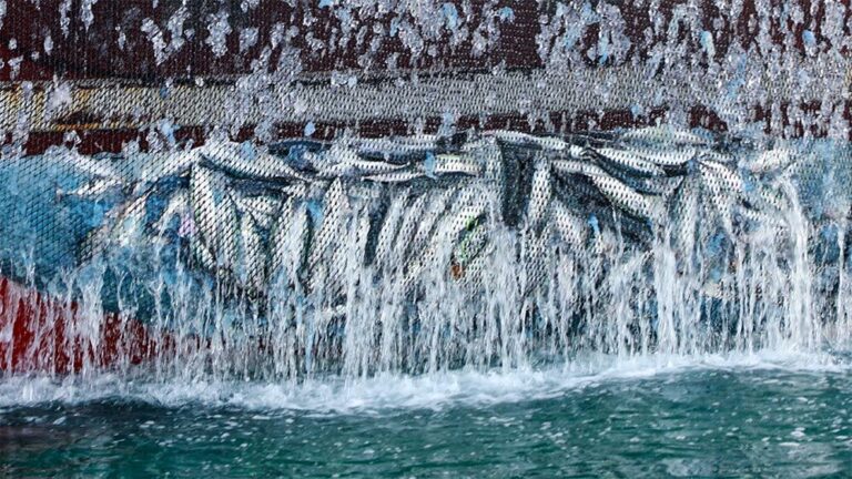 Malatya, Rusya dahil 11 ülkeye balık satıyor