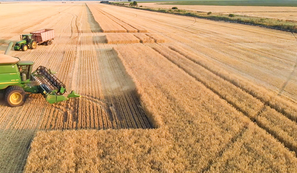 Rusya’da 27 milyon tondan fazla tahıl hasat toplandı
