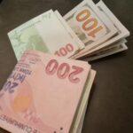 Ruslar Kasım ayında dolar alıp euro sattı