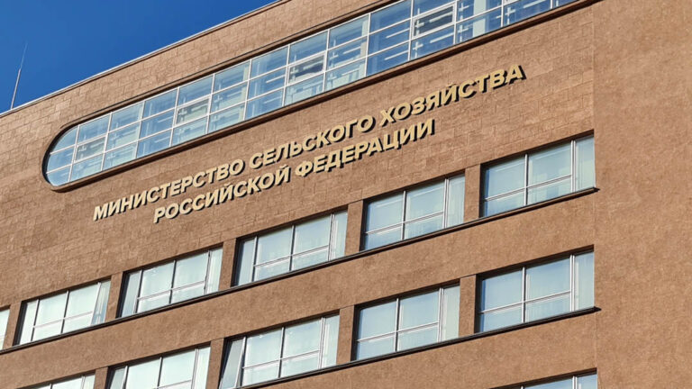Rusya karma yem üretimini yüzde 2,4 oranında artırdı