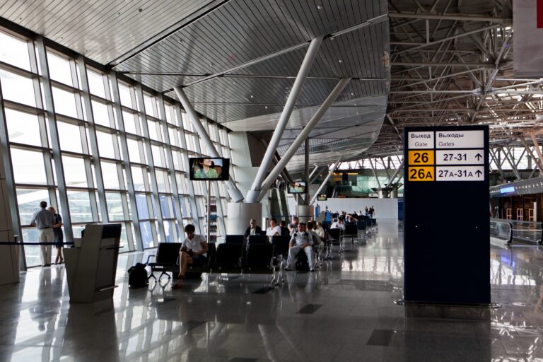 Moskova’da 100’den fazla uçuş ertelendi veya iptal edildi