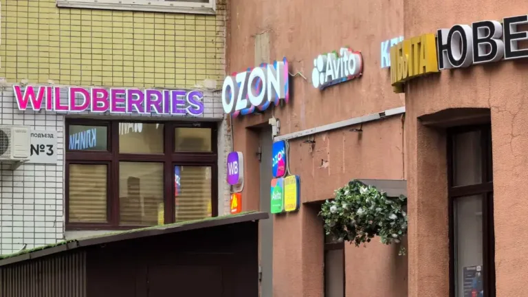 Wildberries, Merkez Bankası’ndan lisans almayı hedefliyor