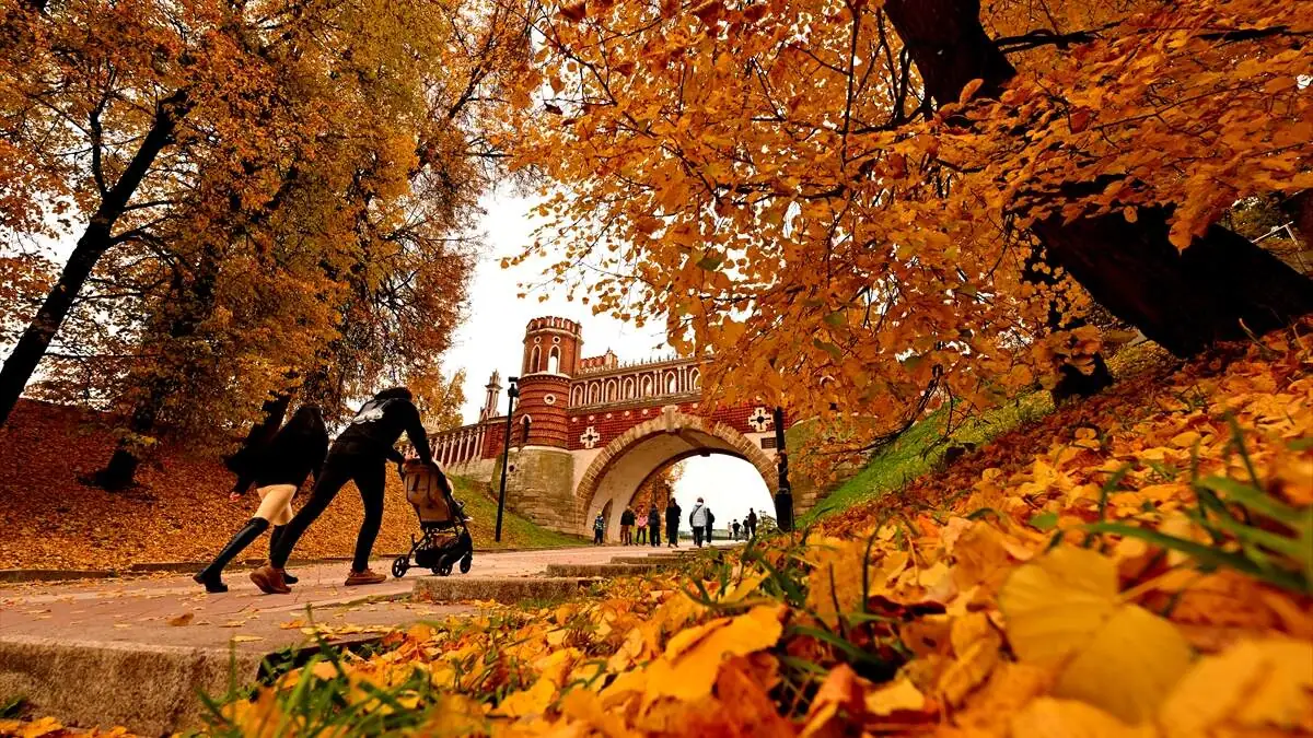 Tsaritsino_Sarayi-12102025-10-1