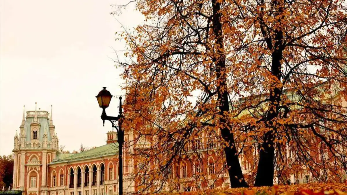 Tsaritsino_Sarayi-12102025-10