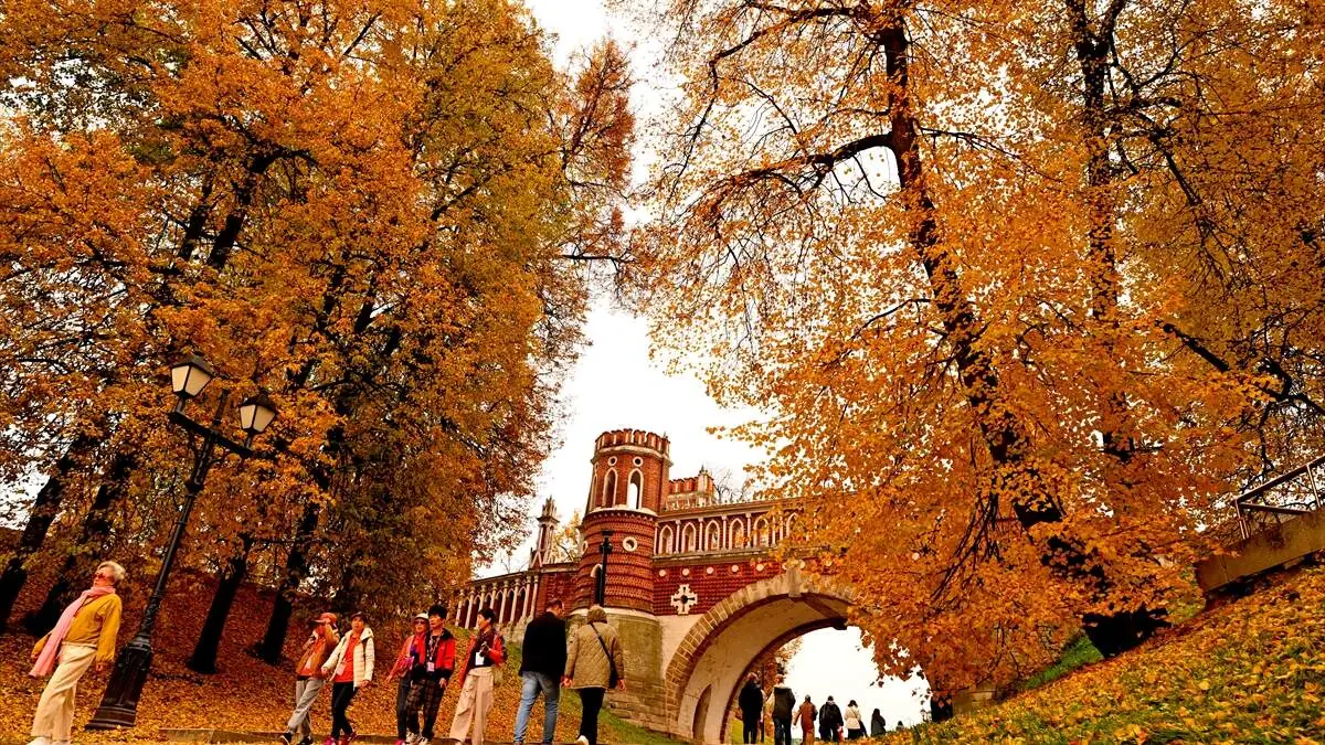 Tsaritsino_Sarayi-12102025-11