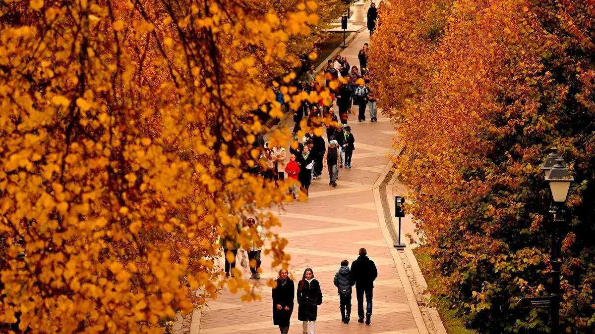 Tsaritsino_Sarayi-12102025-2