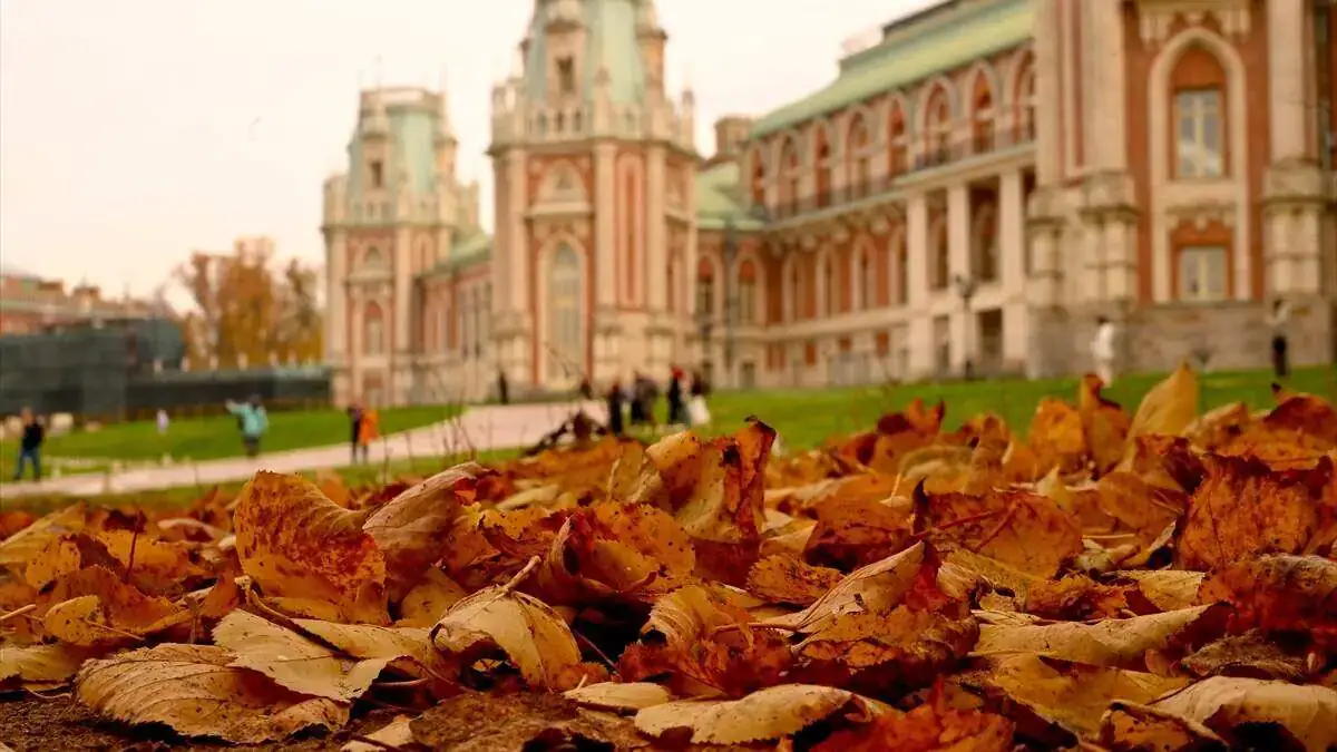 Tsaritsino_Sarayi-12102025-24