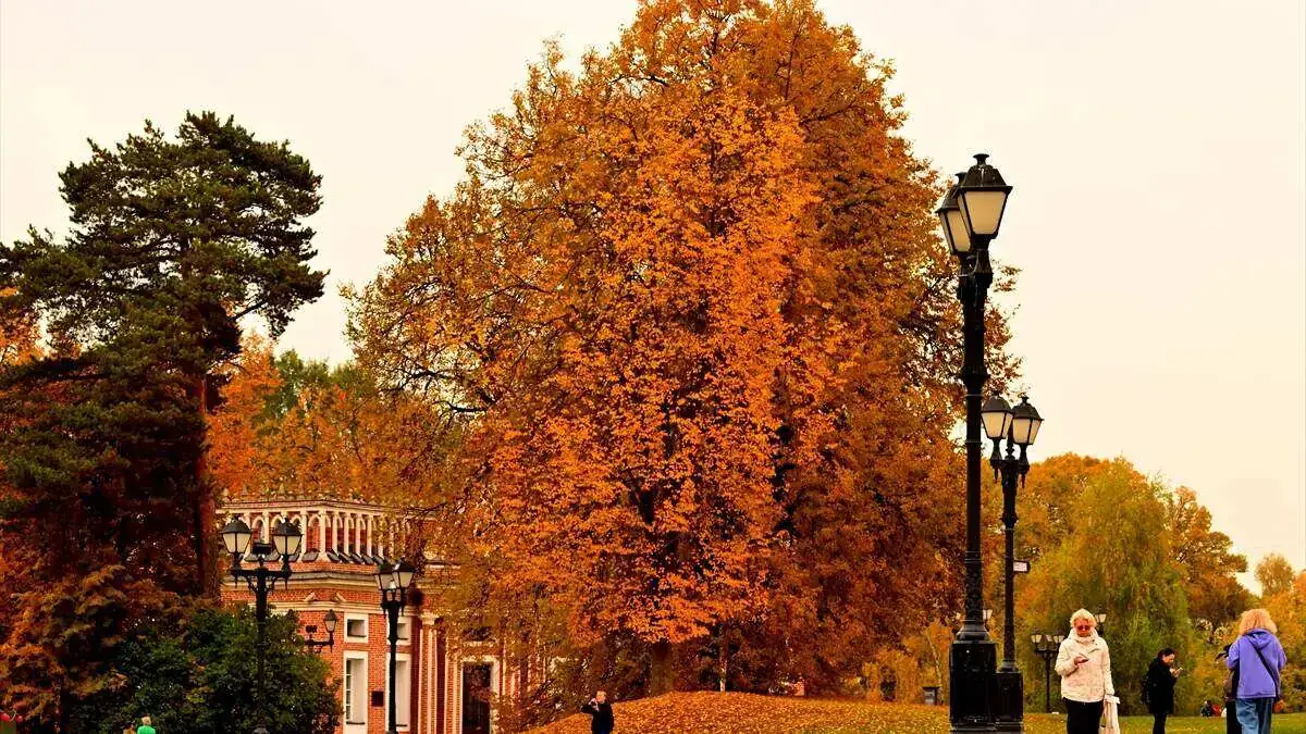 Tsaritsino_Sarayi-12102025-5