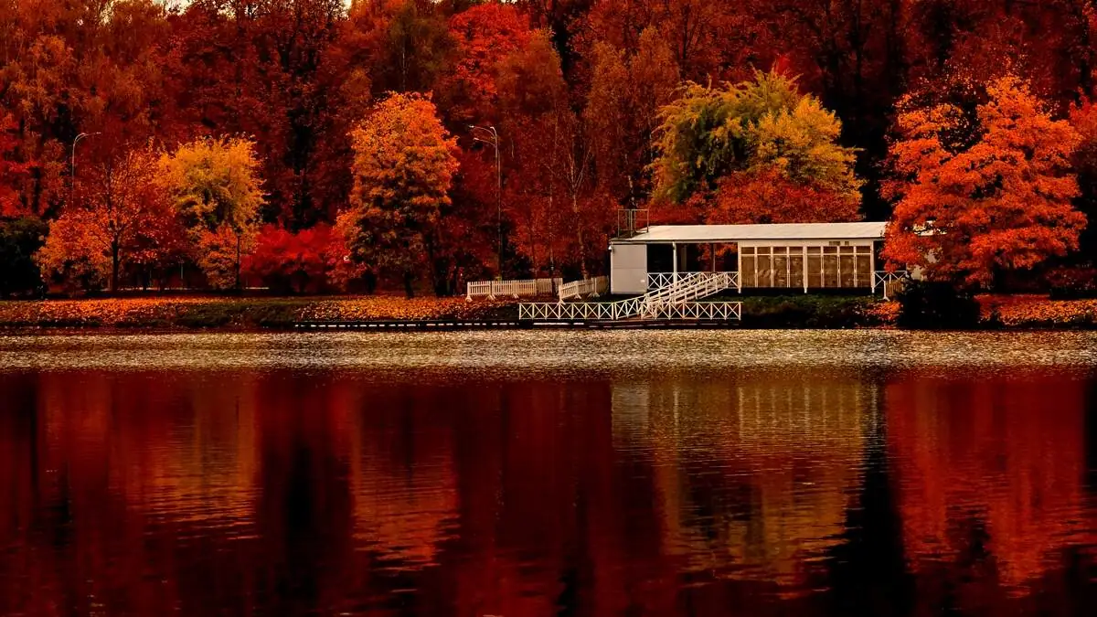 Tsaritsino_Sarayi-12102025-6-1