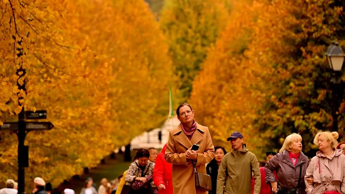 Tsaritsino_Sarayi-12102025-8-1