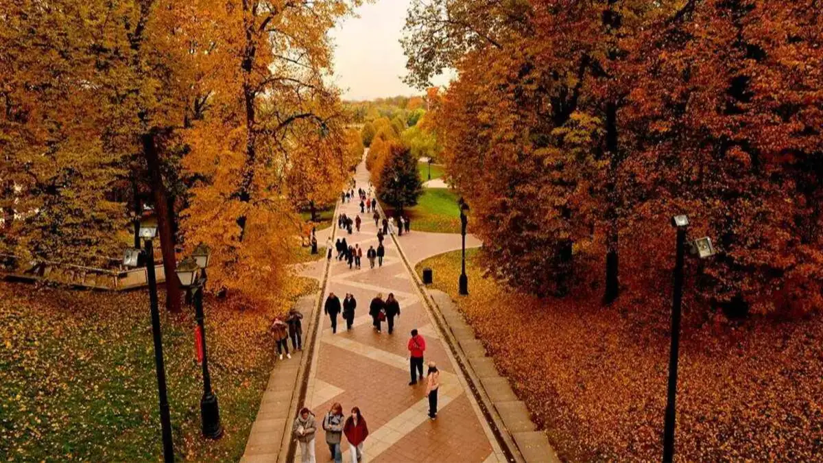 Tsaritsino_Sarayi-12102025-8