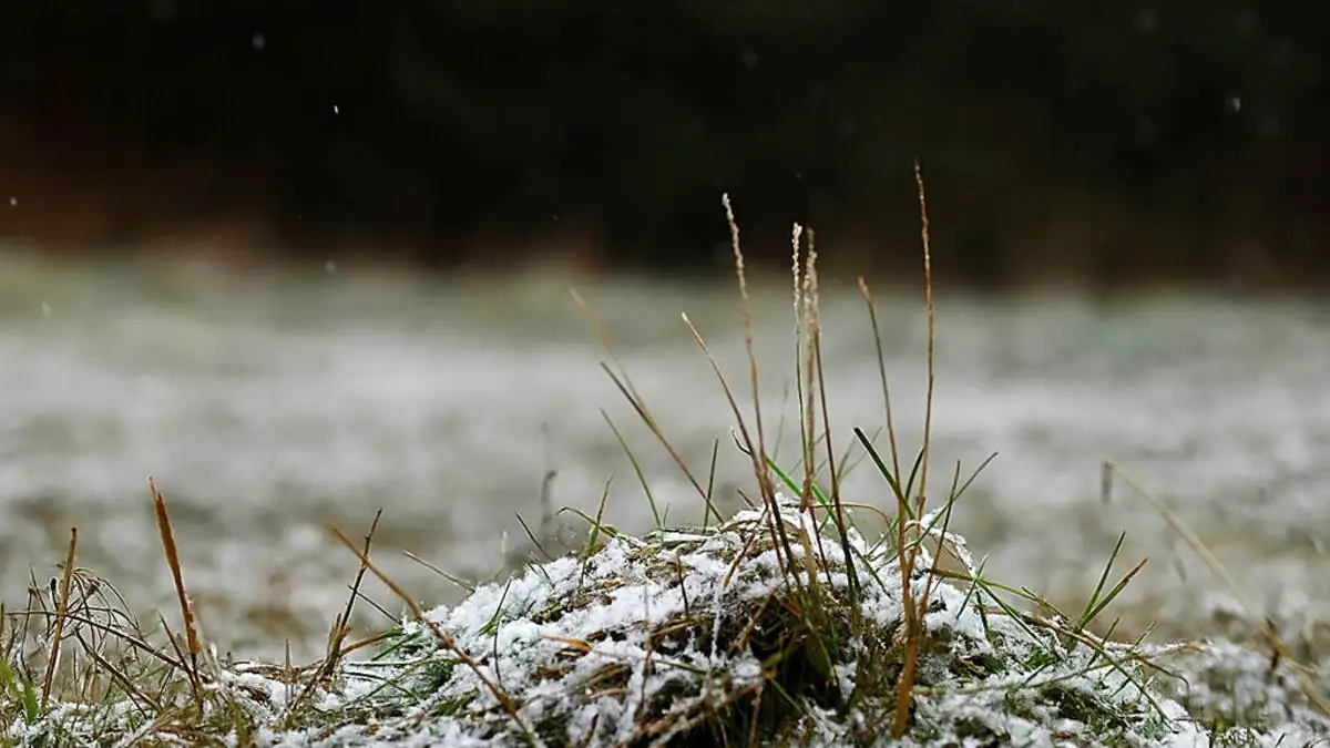 Moskova’da mevsimin ilk karı görüldü