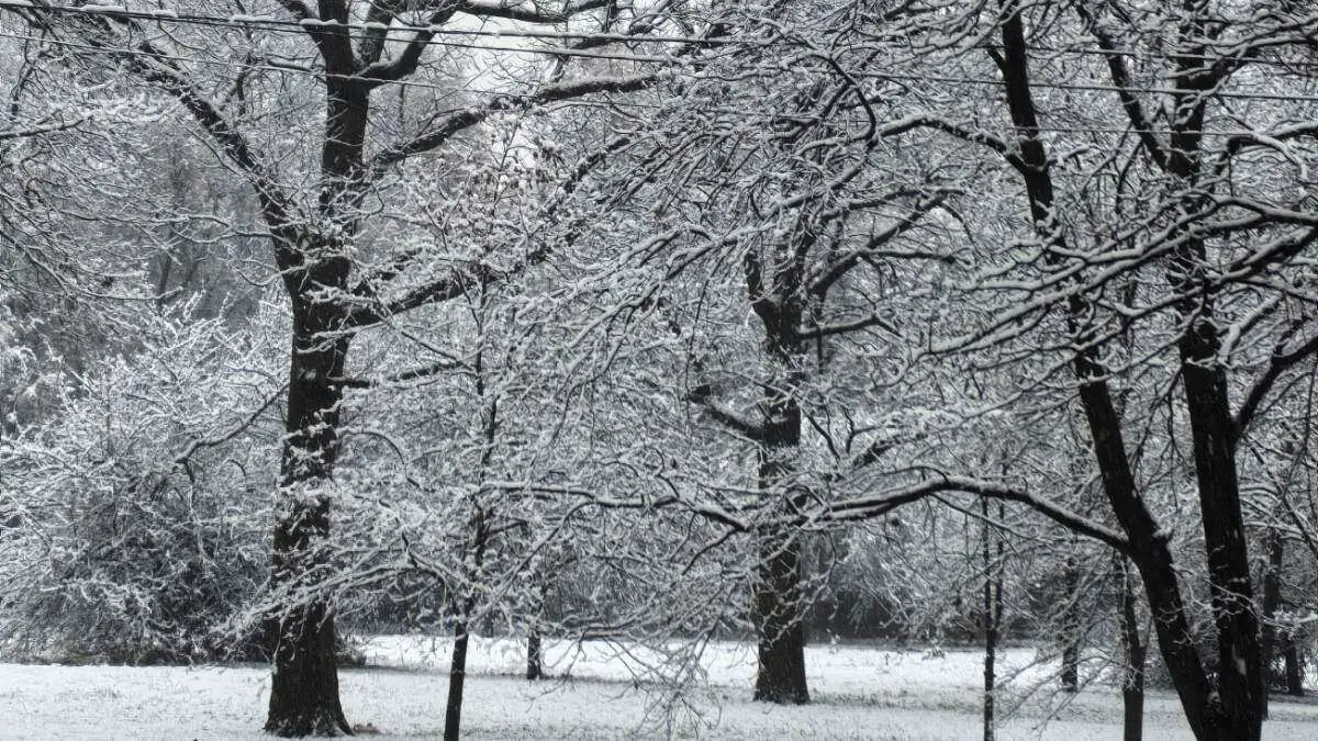 Moskova’da ilk kar: Gece geç vakitte başlayan hafif düşüş sabaha karşı şehri beyaza bürüdü