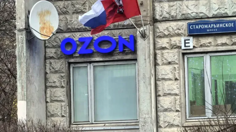 Ozon, yurt dışı alışverişlerde gümrük sorunlarını azaltmak için yeni yetki istedi