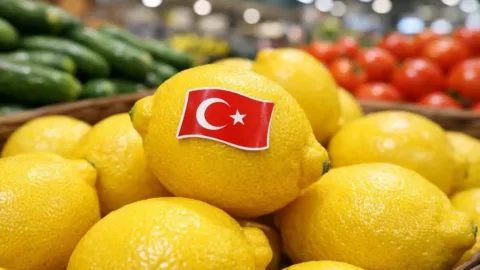 Rusya’nın Türkiye’den limon ithalatı yüzde 60 arttı