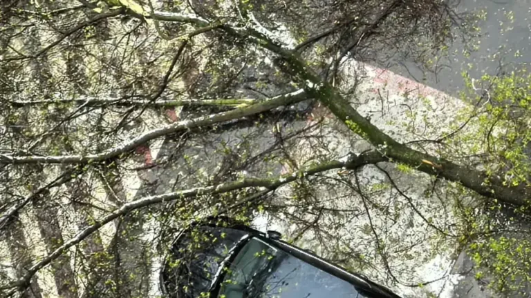 Moskova ve çevresinde kar ve buzlanma nedeniyle turuncu alarm