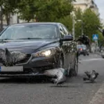 Dikkat: Güvercine çarpma trafik kazası sayılıyor