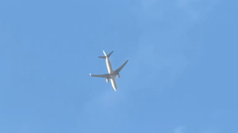 ABD’ye ait Boeing C-17 Globemaster III Vnukovo’ya indi