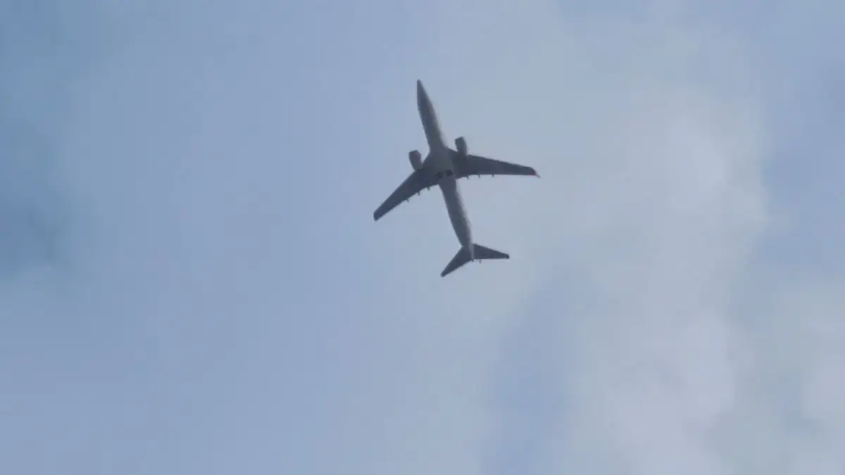 Türkiye’den dört uçuş Vnukovo’daki kısıtlamalar nedeniyle geri döndü