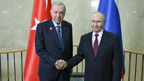 Erdoğan, Rusya Devlet Başkanı Putin ile görüştü