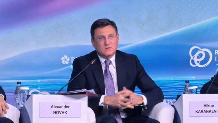 Novak: Rafinerilerin modernizasyon süresini bir yıl uzatacak belge hazırlanıyor