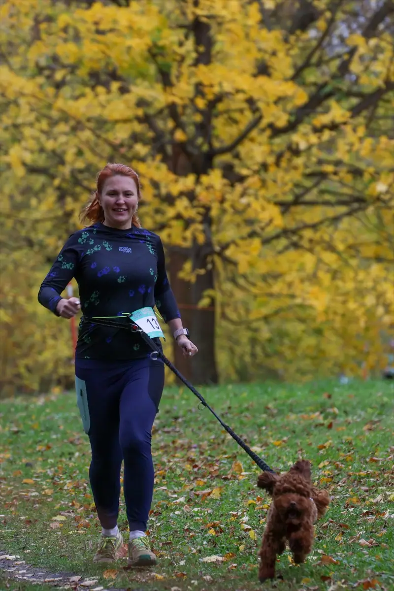 moskova-kopekler-sahipleri-fast-dog-kosusunda-ayni-aa-2026-10-10-01