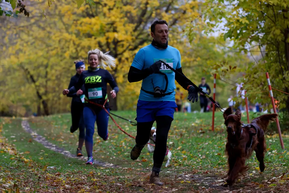 moskova-kopekler-sahipleri-fast-dog-kosusunda-ayni-aa-2026-10-10-02