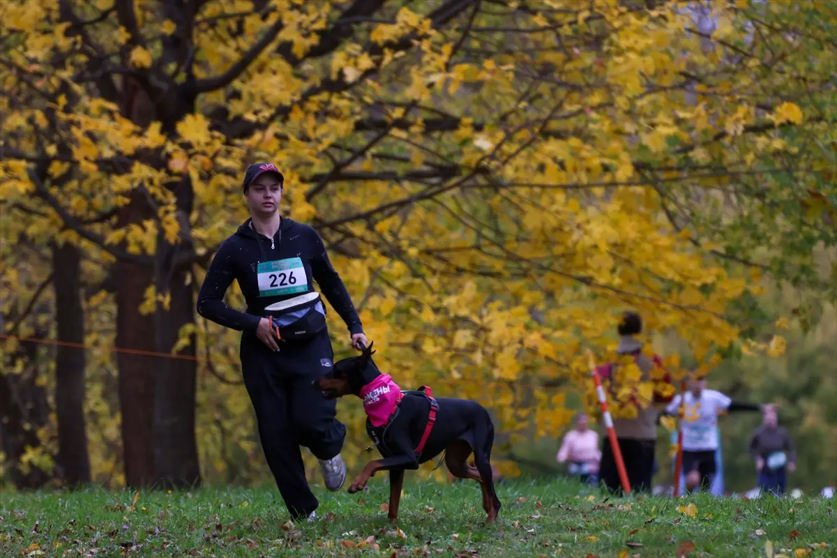 moskova-kopekler-sahipleri-fast-dog-kosusunda-ayni-aa-2026-10-10-03