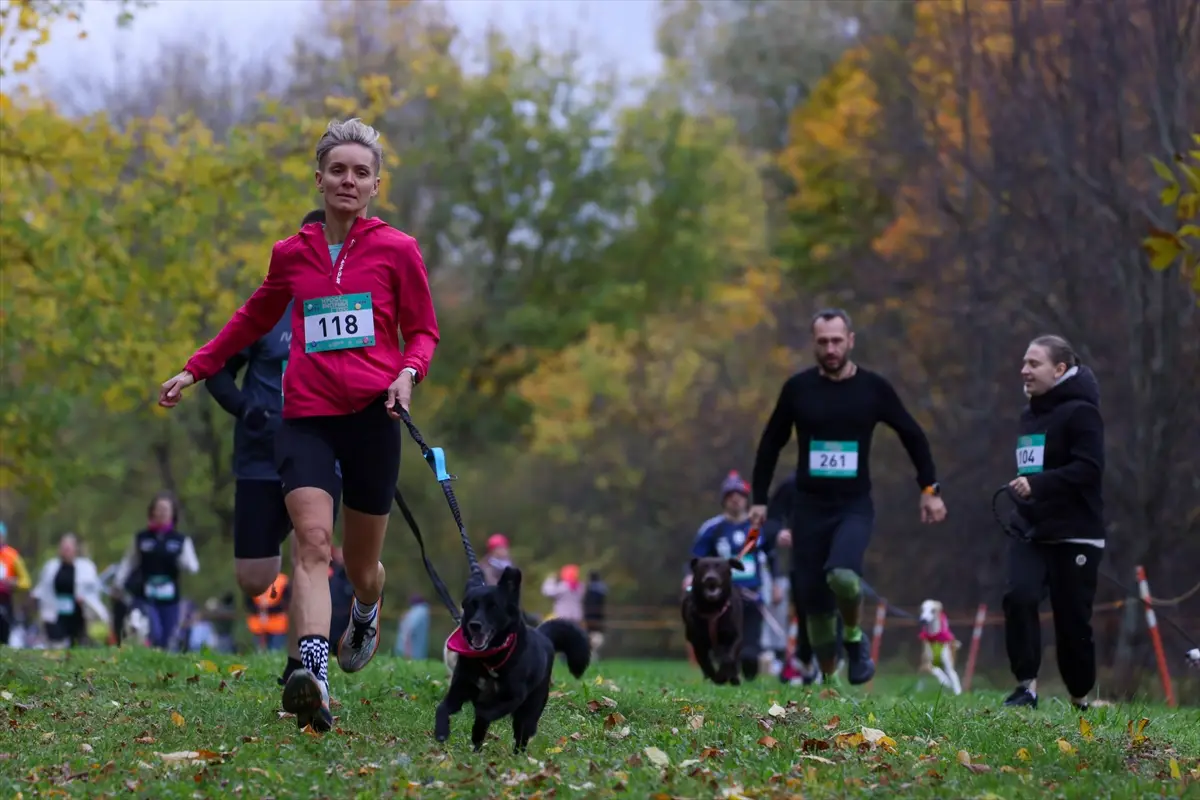 moskova-kopekler-sahipleri-fast-dog-kosusunda-ayni-aa-2026-10-10-06