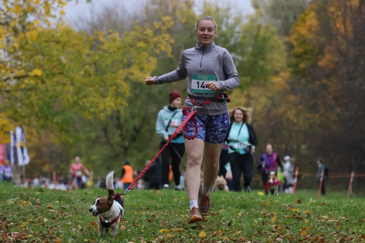 moskova-kopekler-sahipleri-fast-dog-kosusunda-ayni-aa-2026-10-10-07