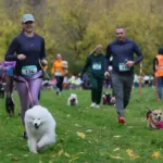 Moskova’da köpekler ve sahipleri “Fast Dog” koşusunda aynı parkurda buluştu