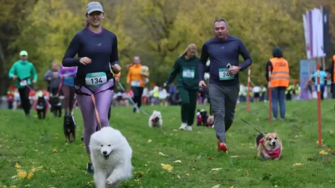 Moskova’da köpekler ve sahipleri “Fast Dog” koşusunda aynı parkurda buluştu