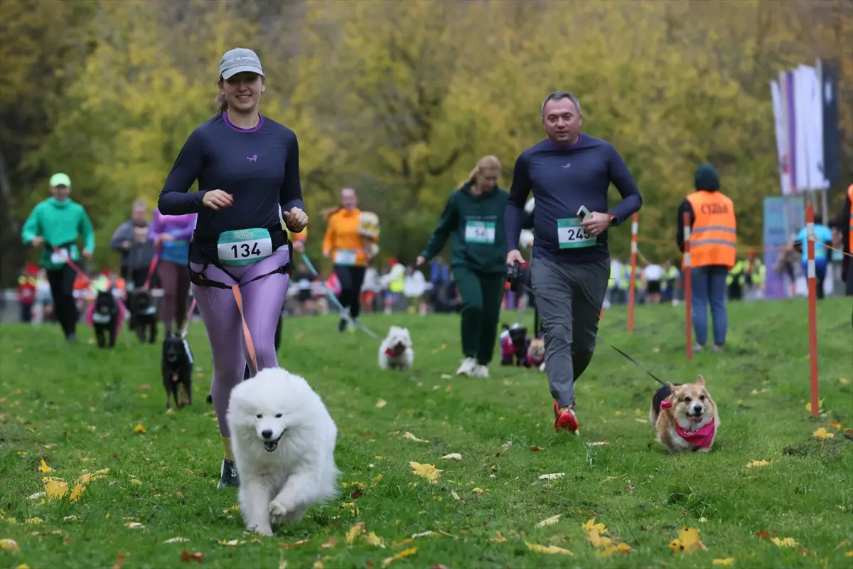 moskova-kopekler-sahipleri-fast-dog-kosusunda-ayni-aa-2026-10-10-08
