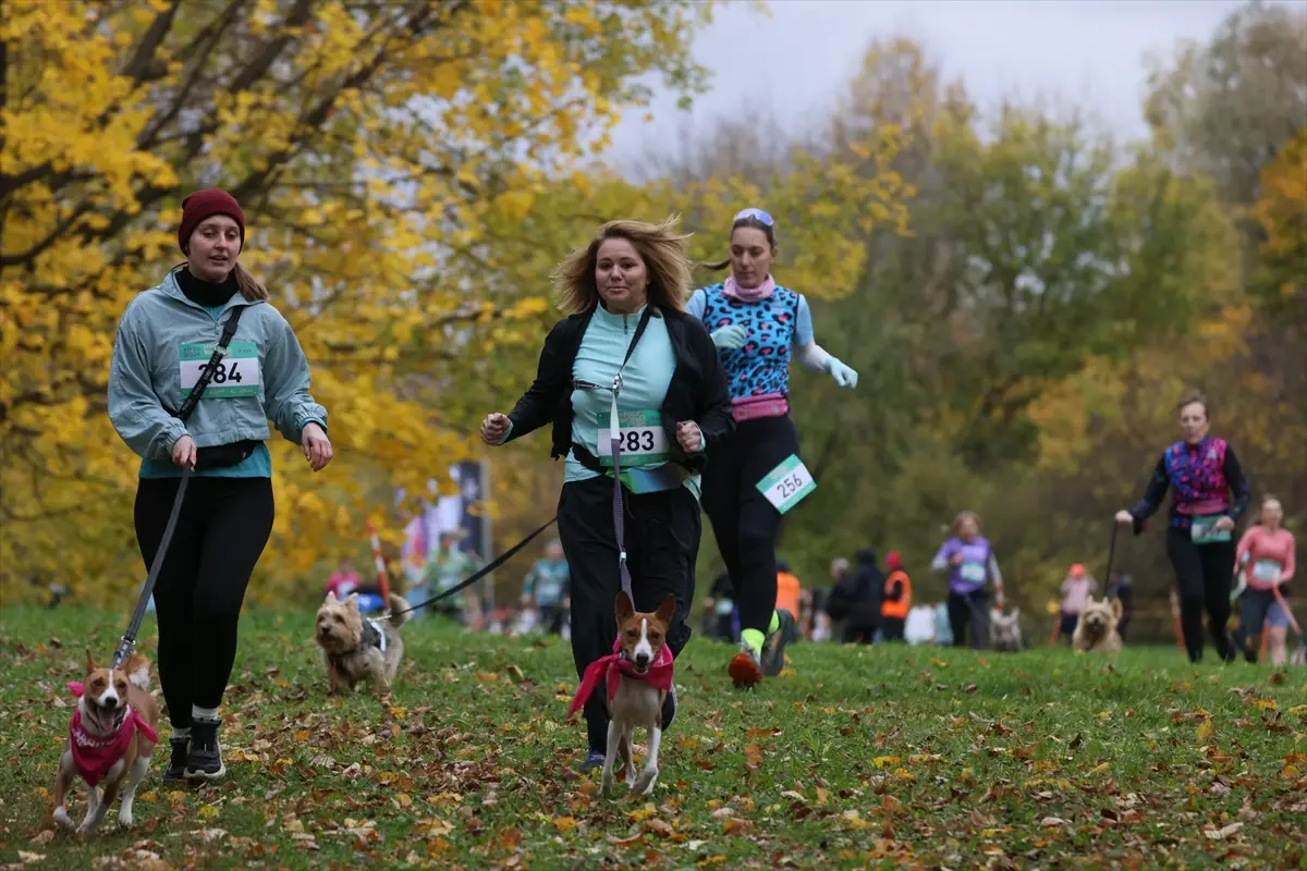 moskova-kopekler-sahipleri-fast-dog-kosusunda-ayni-aa-2026-10-10-13