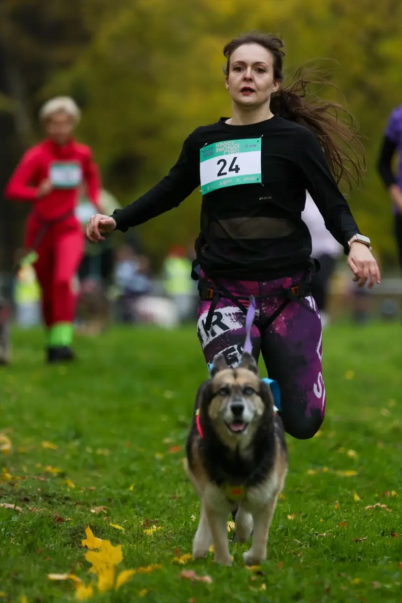 moskova-kopekler-sahipleri-fast-dog-kosusunda-ayni-aa-2026-10-10-14