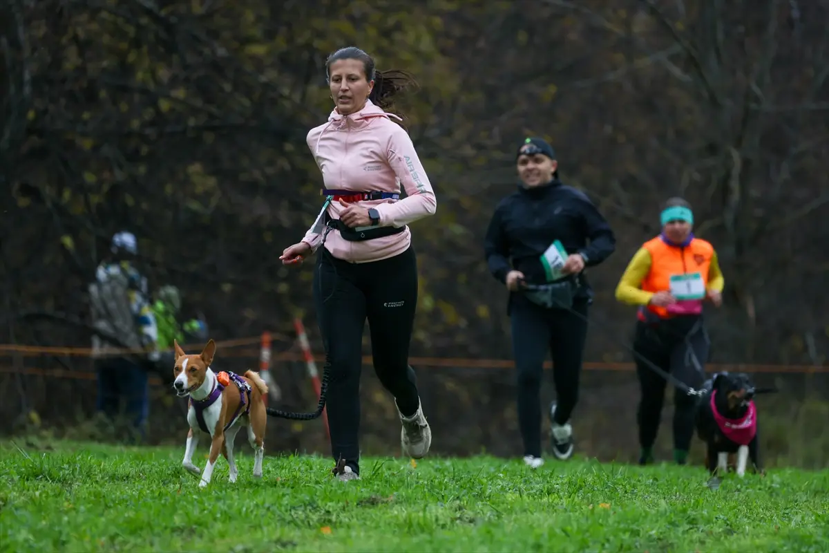 moskova-kopekler-sahipleri-fast-dog-kosusunda-ayni-aa-2026-10-10-15