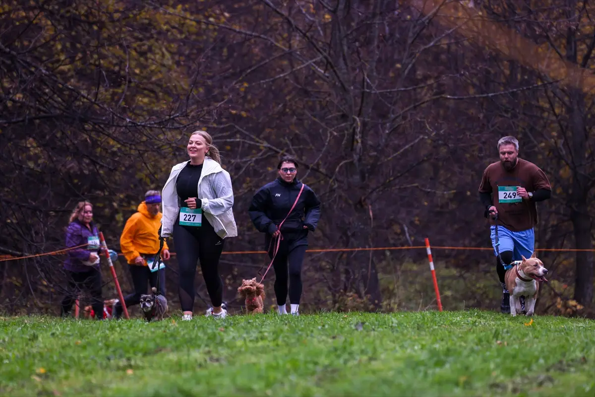 moskova-kopekler-sahipleri-fast-dog-kosusunda-ayni-aa-2026-10-10-18