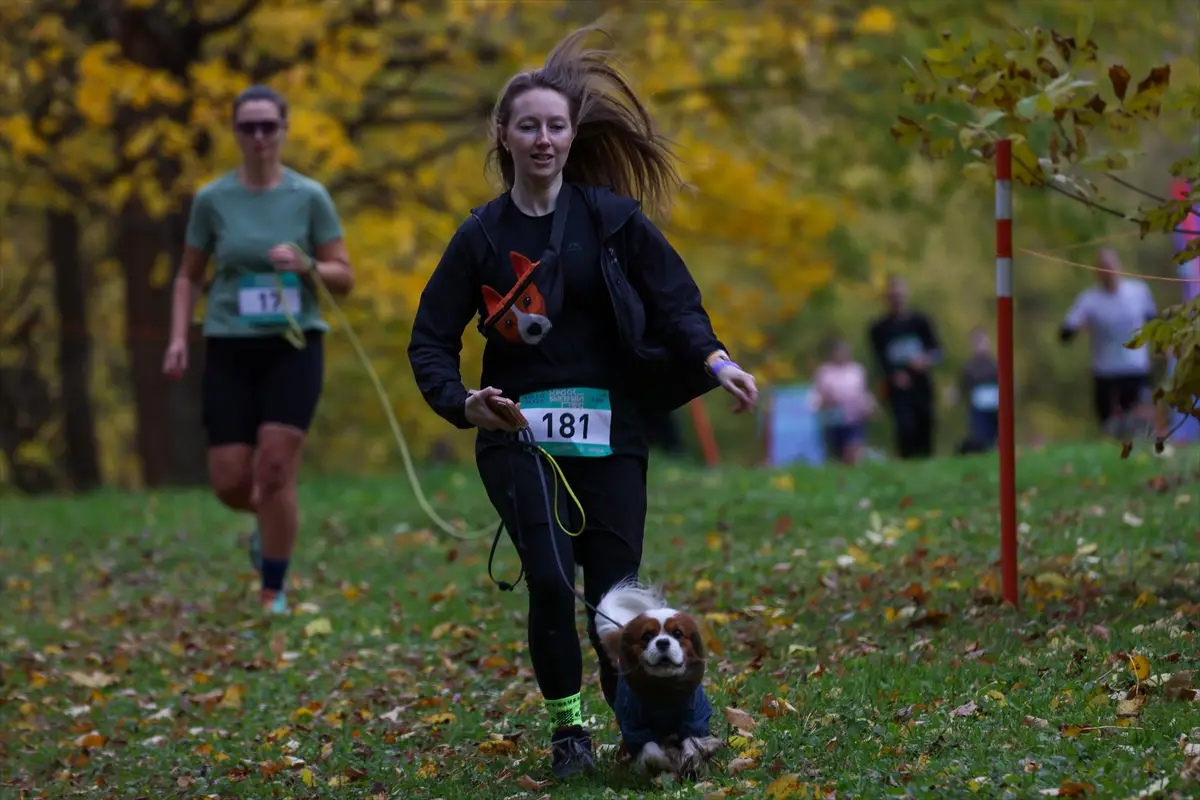 moskova-kopekler-sahipleri-fast-dog-kosusunda-ayni-aa-2026-10-10-20