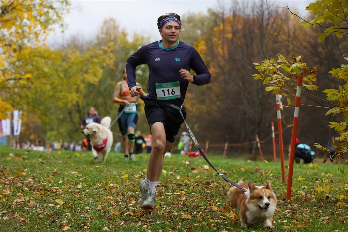 moskova-kopekler-sahipleri-fast-dog-kosusunda-ayni-aa-2026-10-10-21