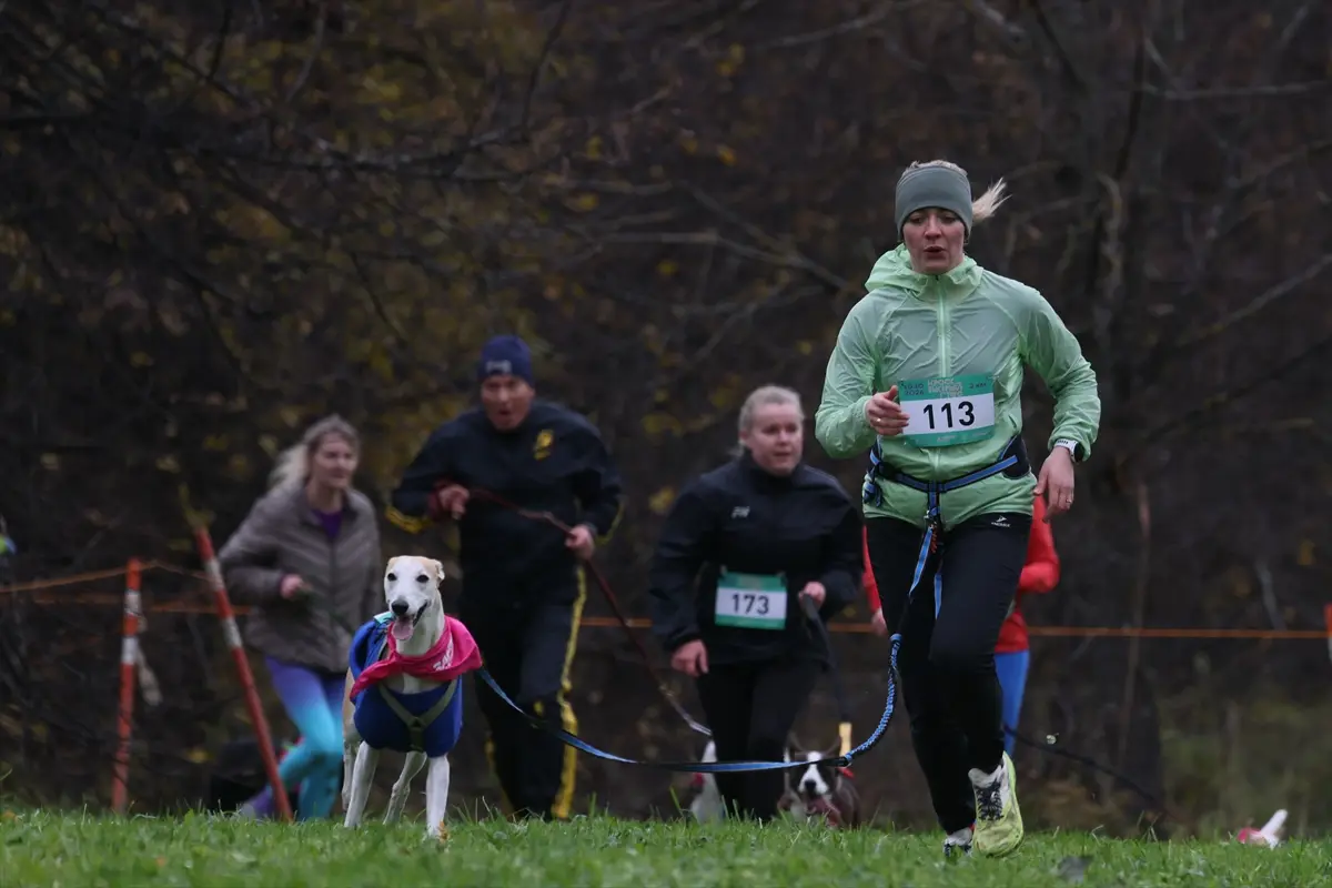 moskova-kopekler-sahipleri-fast-dog-kosusunda-ayni-aa-2026-10-10-23