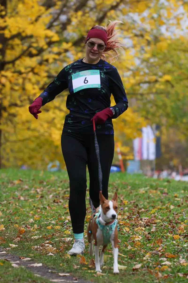 moskova-kopekler-sahipleri-fast-dog-kosusunda-ayni-aa-2026-10-10-25
