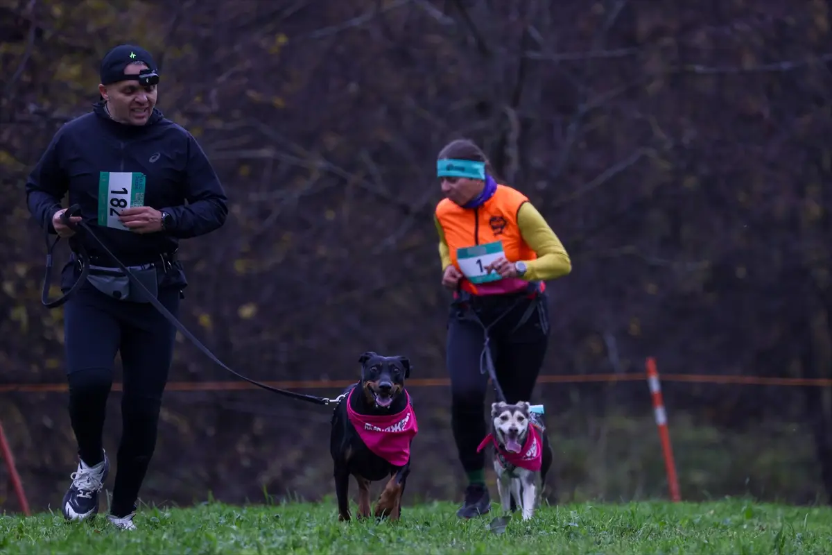 moskova-kopekler-sahipleri-fast-dog-kosusunda-ayni-aa-2026-10-10-27